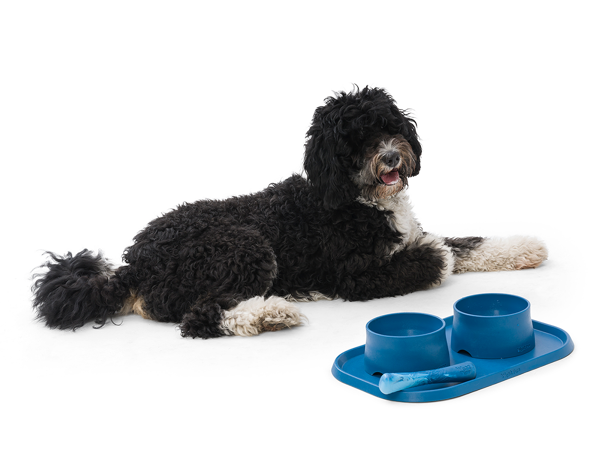 Paws and Bones Water Trapper Dog Placemat | Bluestone | Size 2' x 3' | Recycled Materials