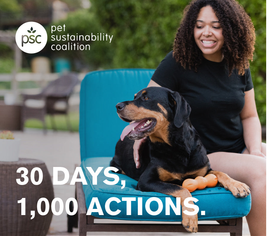 30 Days, 1,000 Actions