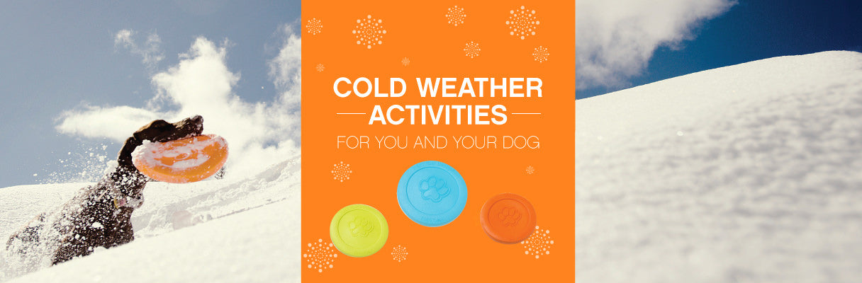 Activities to Do With Your Dog in Cold Weather