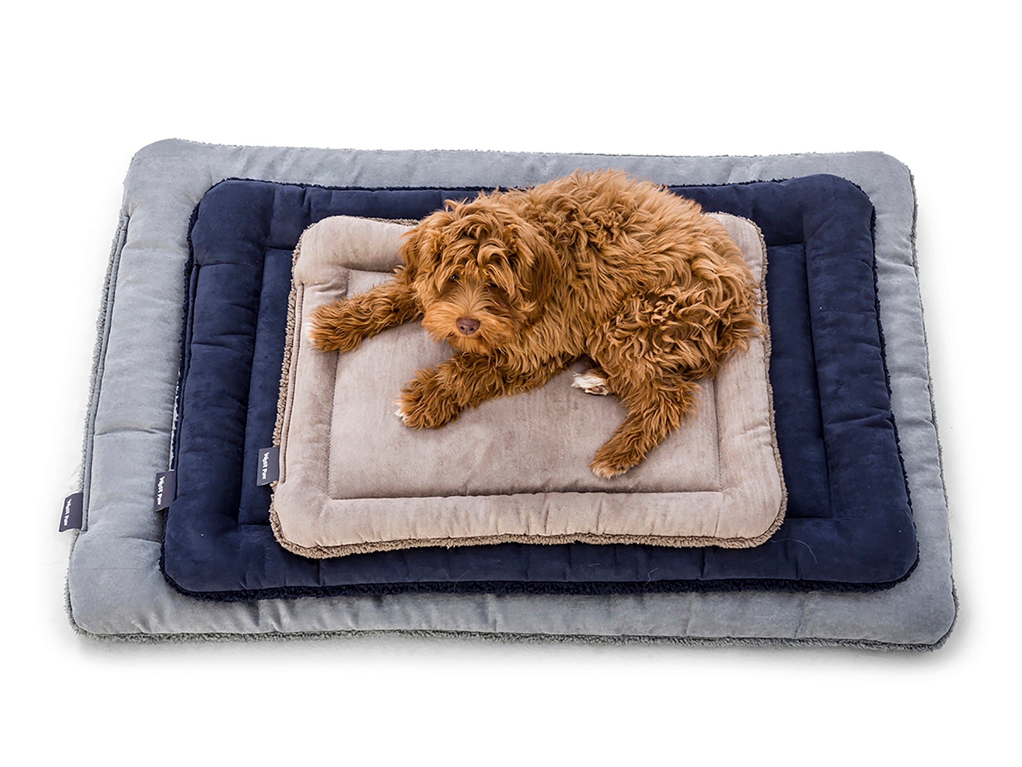 Care Instructions for Dog Beds