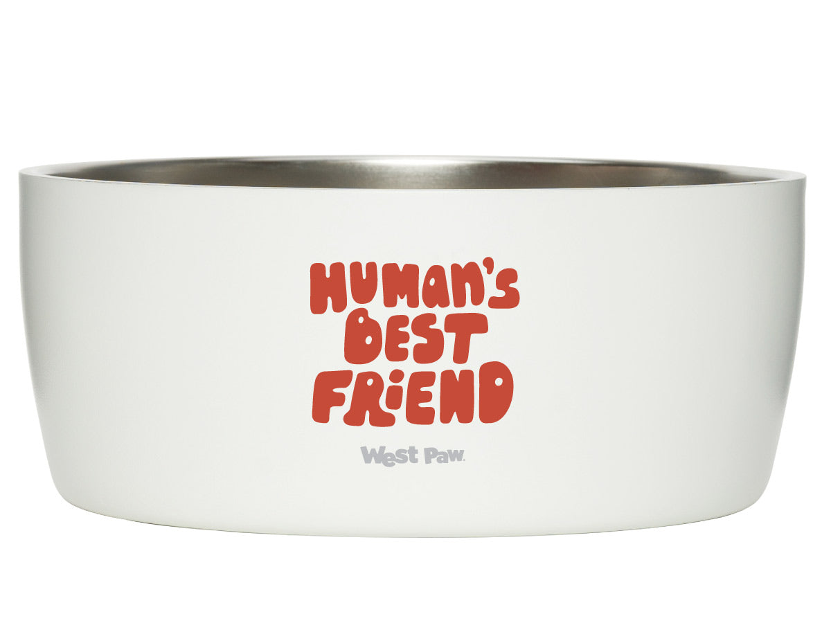 Best Dog Bowls  The Best Bowls for Any Size Dog
