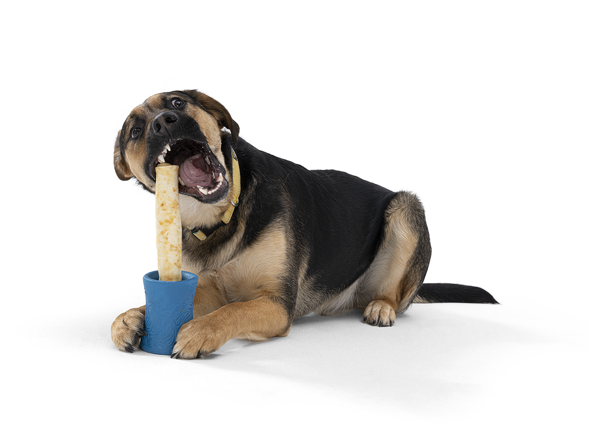 Funnl™ + No-Hide® Chews 2-Pack