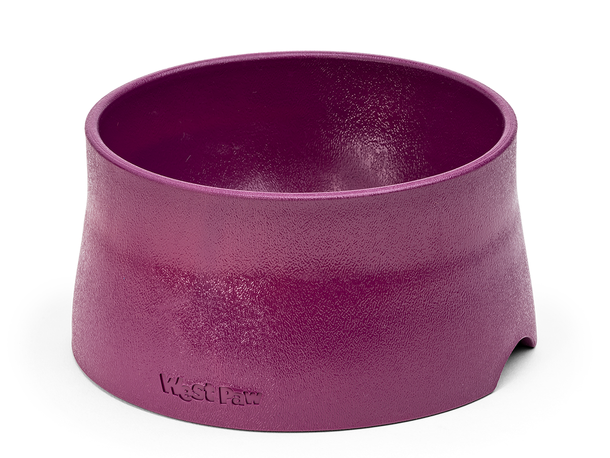 Vivaglory Dog Bowls Set with Double Stainless Steel Feeder Bowls and W –  VIVAGLORY