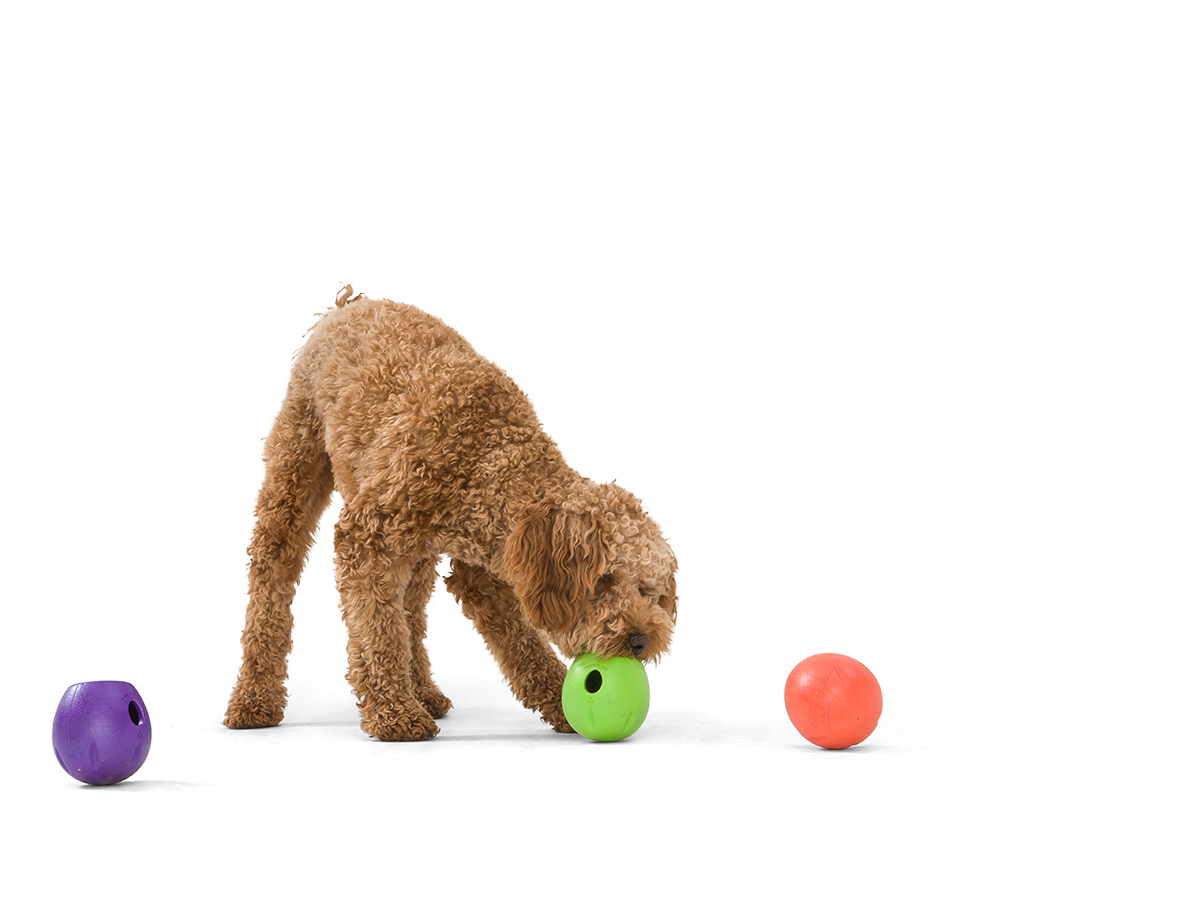 Dog Balls Treat Dispensing Dog Toys Nearly Indestructible Pet Dog