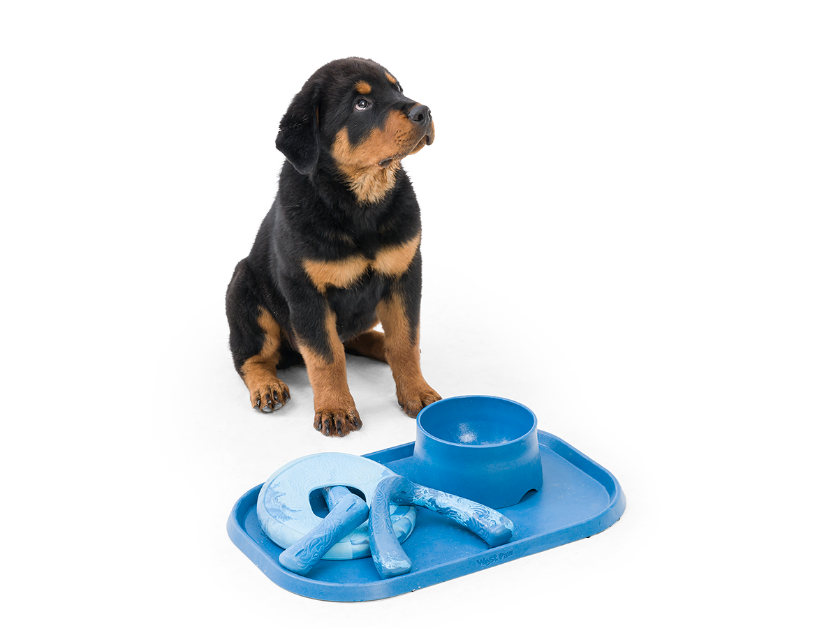 West Paw No-Slip BPA-Free Feeding Mat for Dogs – Only Natural Pet