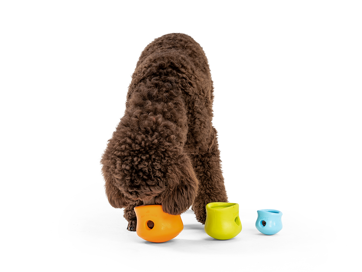 Pet Supplies : WEST PAW Zogoflex Toppl Treat Dispensing Dog Toy Bundle –  Interactive Chew Toys for Dogs – Dog Toy for Moderate Chewers, Fetch, Catch  – Holds Kibble, Treats, Small 3